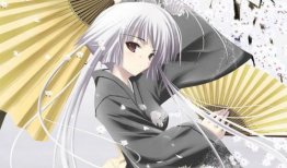 动漫角色,动漫角色传奇之旅