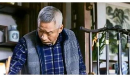 刘佩琦演的电视剧,电视剧中的传奇人生